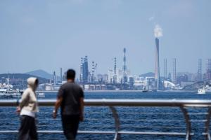 由于波斯湾油气田原料供应减少，越南、印尼等亚洲国家的买家纷纷转向中国采购。图为大连一石化工业园区。（彭博社）