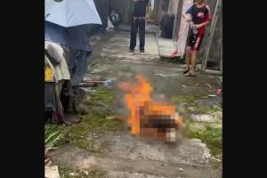 中国广东省揭阳市上月发生四名未成年人虐狗事件，一只母犬和它的三只幼崽分别被汽油活烧（图）和虐打致死。（互联网）