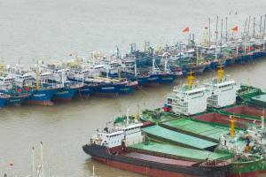 台风“白海豚”逼近，图为8月8日，船只停靠在位于浙江台州的白沙浮桥码头。（中新社）