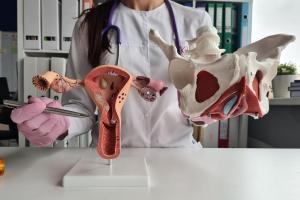 骨盆底不但和性功能有关，也协助控尿与控便。（iStock图片）