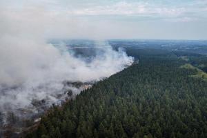 比利时星期五（8月14日）爆发的林火位于地形复杂的自然保护区内，救援团队难以通过常规手段接近火场，灭火行动高度依赖空中支援。这是比利时有记录以来规模最大的林火。（法新社）