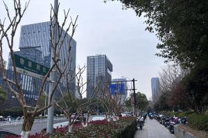 浙江杭州滨江区副区长郁廷栋，因为在酒局上侵犯女子被刑事拘留。图为杭州市滨江区的物联网街。（档案照片）